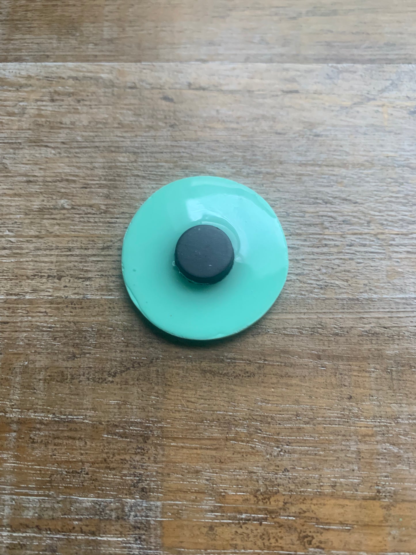 As-Is Don’t Be a Dick Mint Green Polymer Clay Fridge Magnet