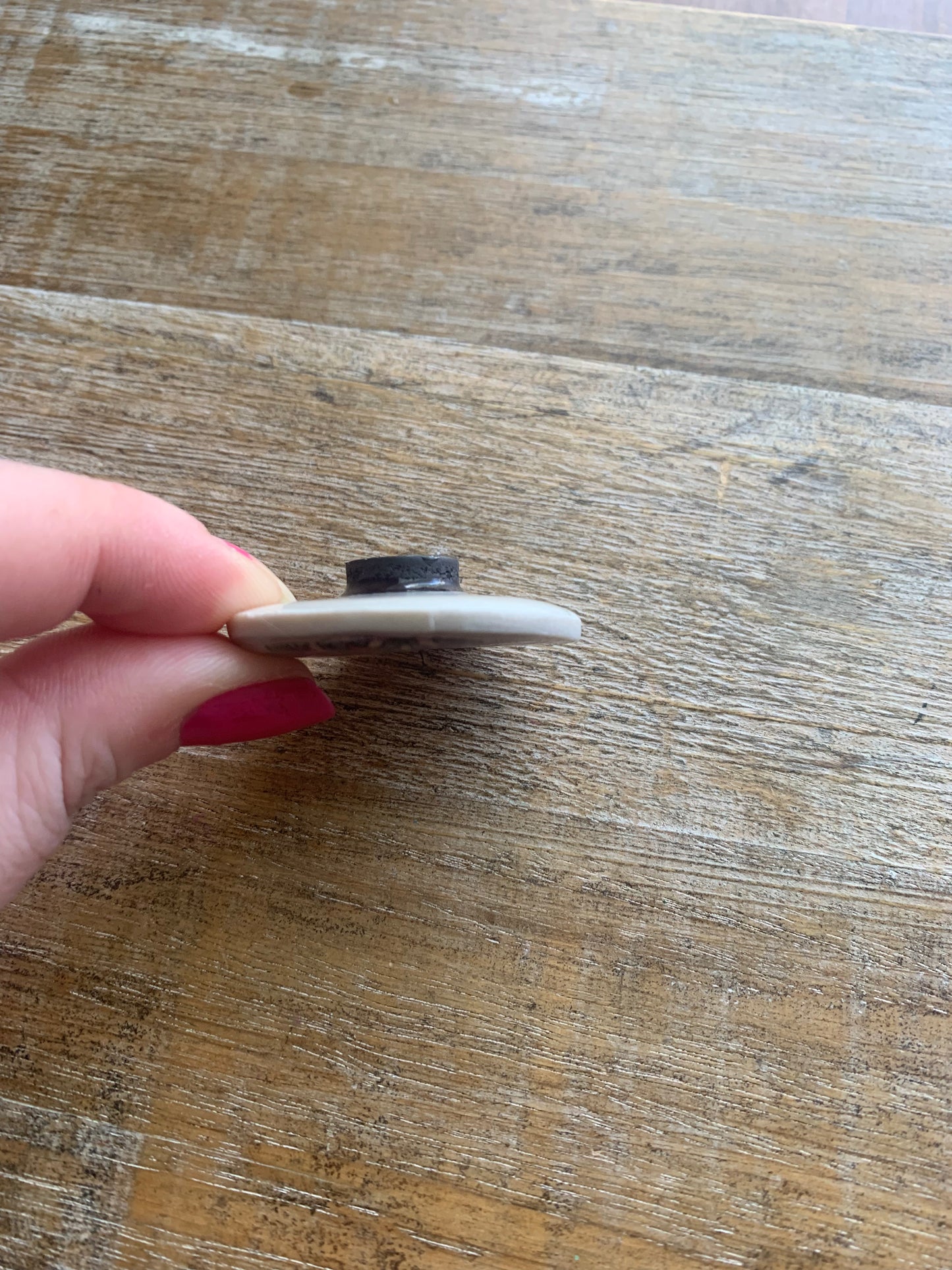 As- Is This Country is Stupid AF Mushroom Rose Clay Magnet
