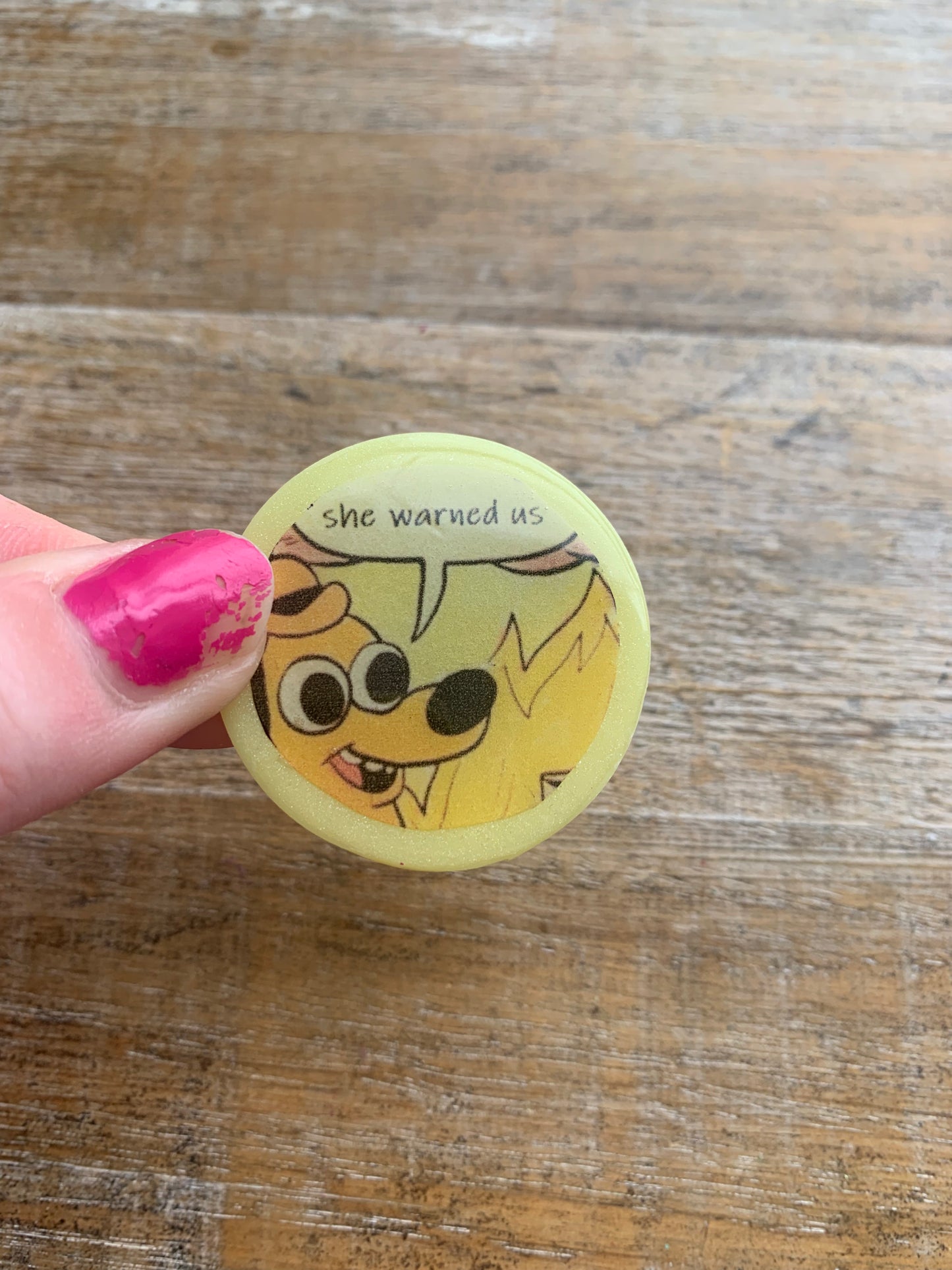 Kamala Warned Us Meme Dog Fire Clay Fridge Magnet