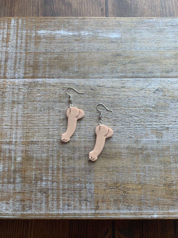 Pierced Dick Dark Romance Earrings Penis Booktok Clip On Earrings Ear Hangers