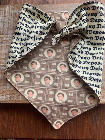 Luigi Dog Bandana Deny Defend Depose Dog Tie Bandana Collar Money REVERSIBLE
