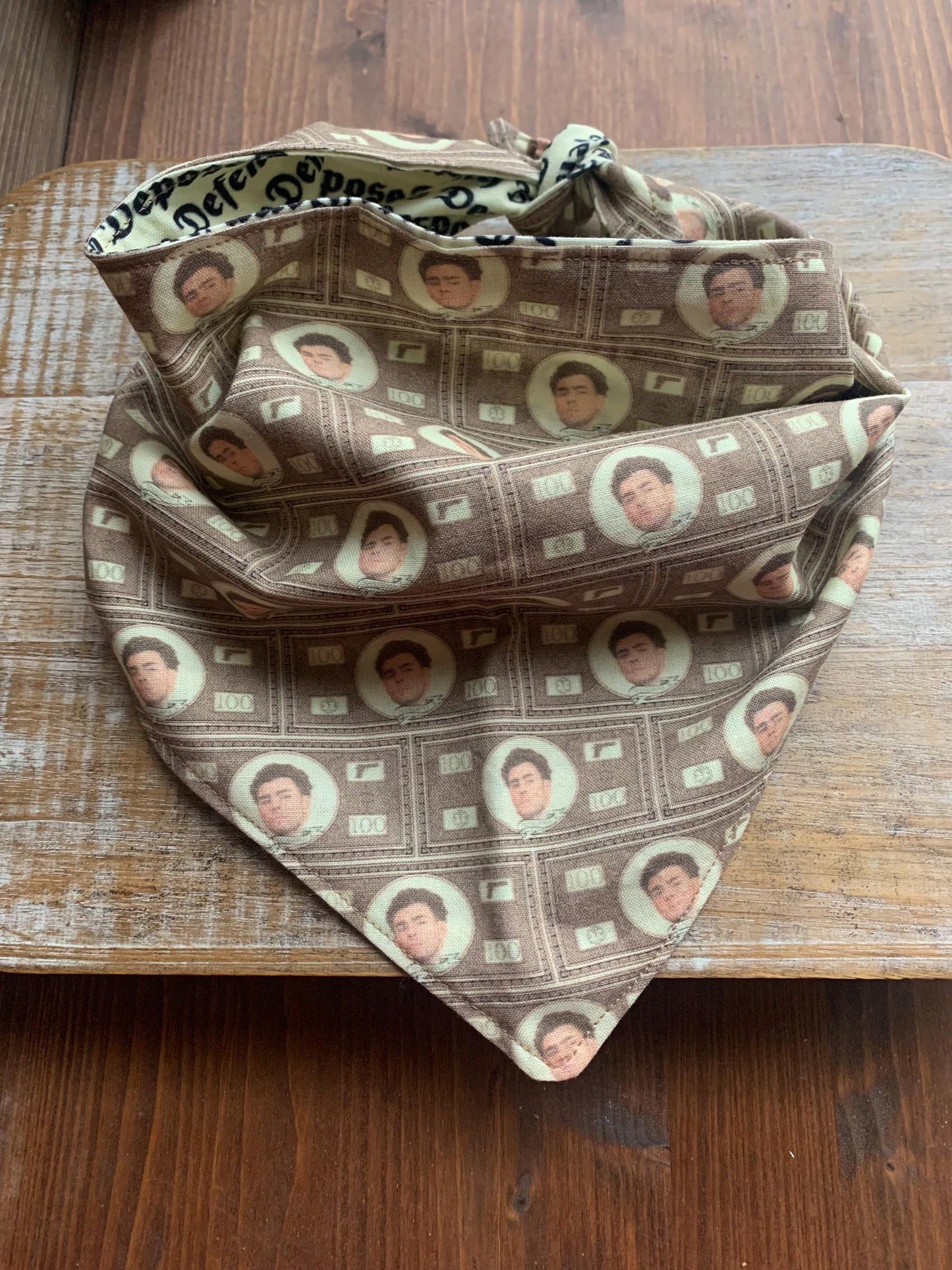 Luigi Dog Bandana Deny Defend Depose Dog Tie Bandana Collar Money REVERSIBLE