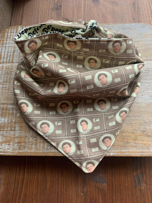 Luigi Dog Bandana Deny Defend Depose Dog Tie Bandana Collar Money REVERSIBLE