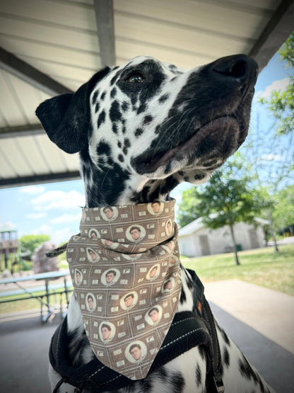 Luigi Dog Bandana Deny Defend Depose Dog Tie Bandana Collar Money REVERSIBLE